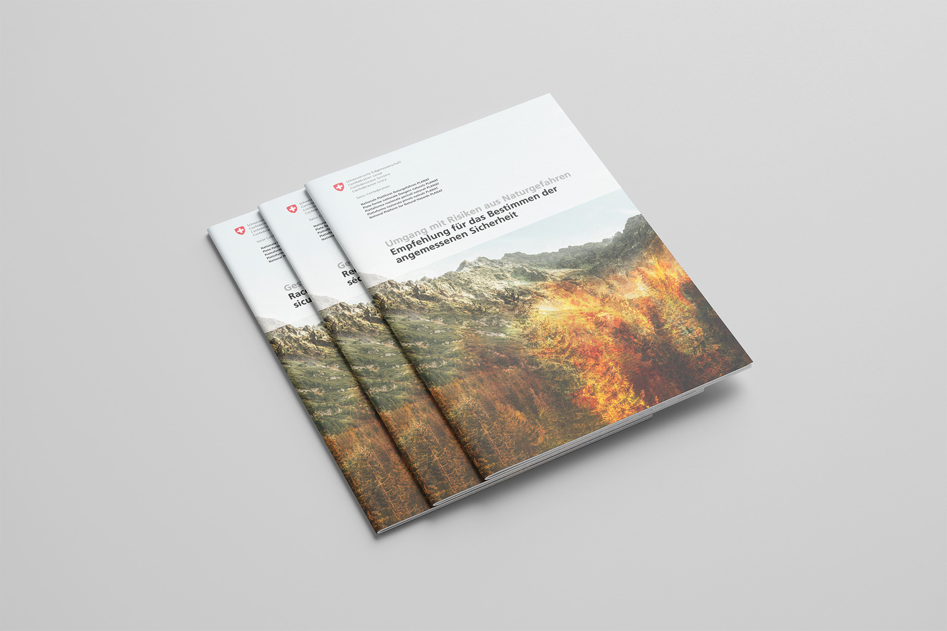 Umgang mit Risiken aus Naturgefahren: Empfehlung für das Bestimmen der angemessenen Sicherheit (2026)