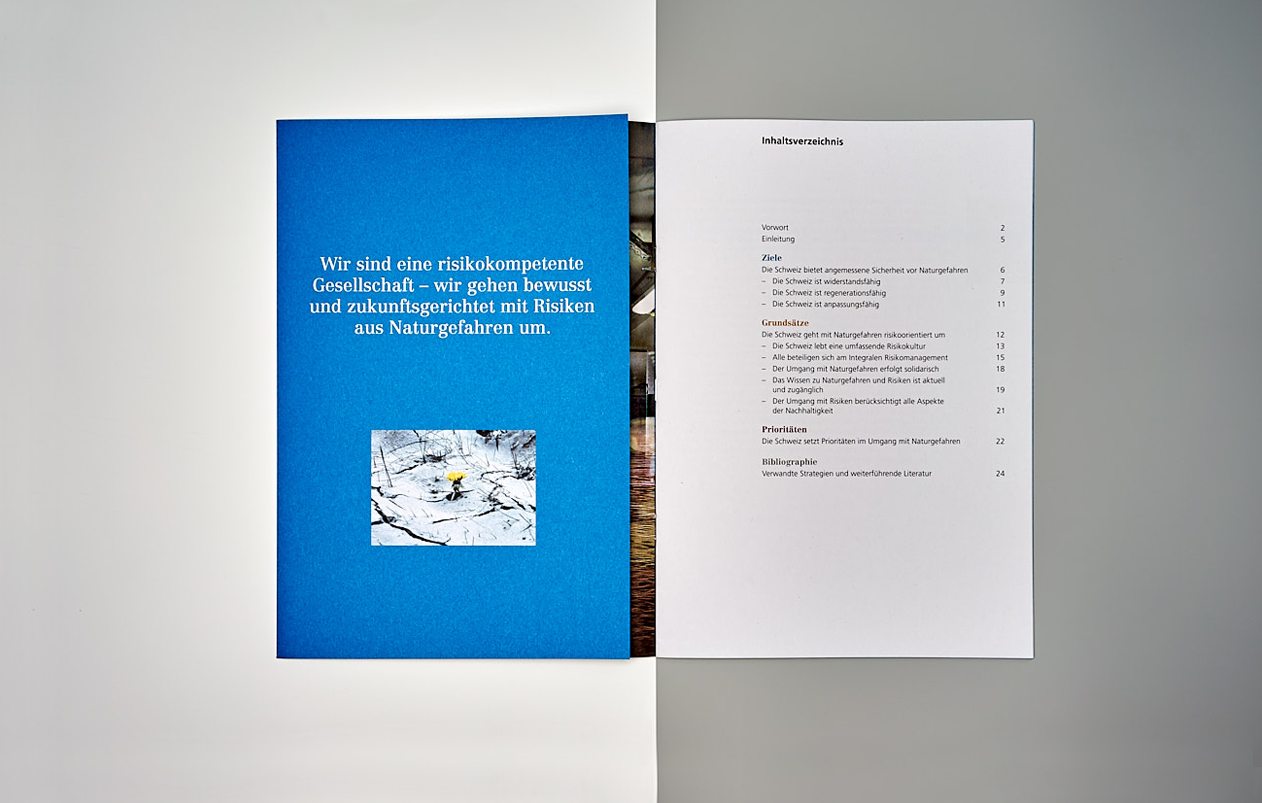 Strategie Umgang mit Risiken aus Naturgefahren Umschlagklappe