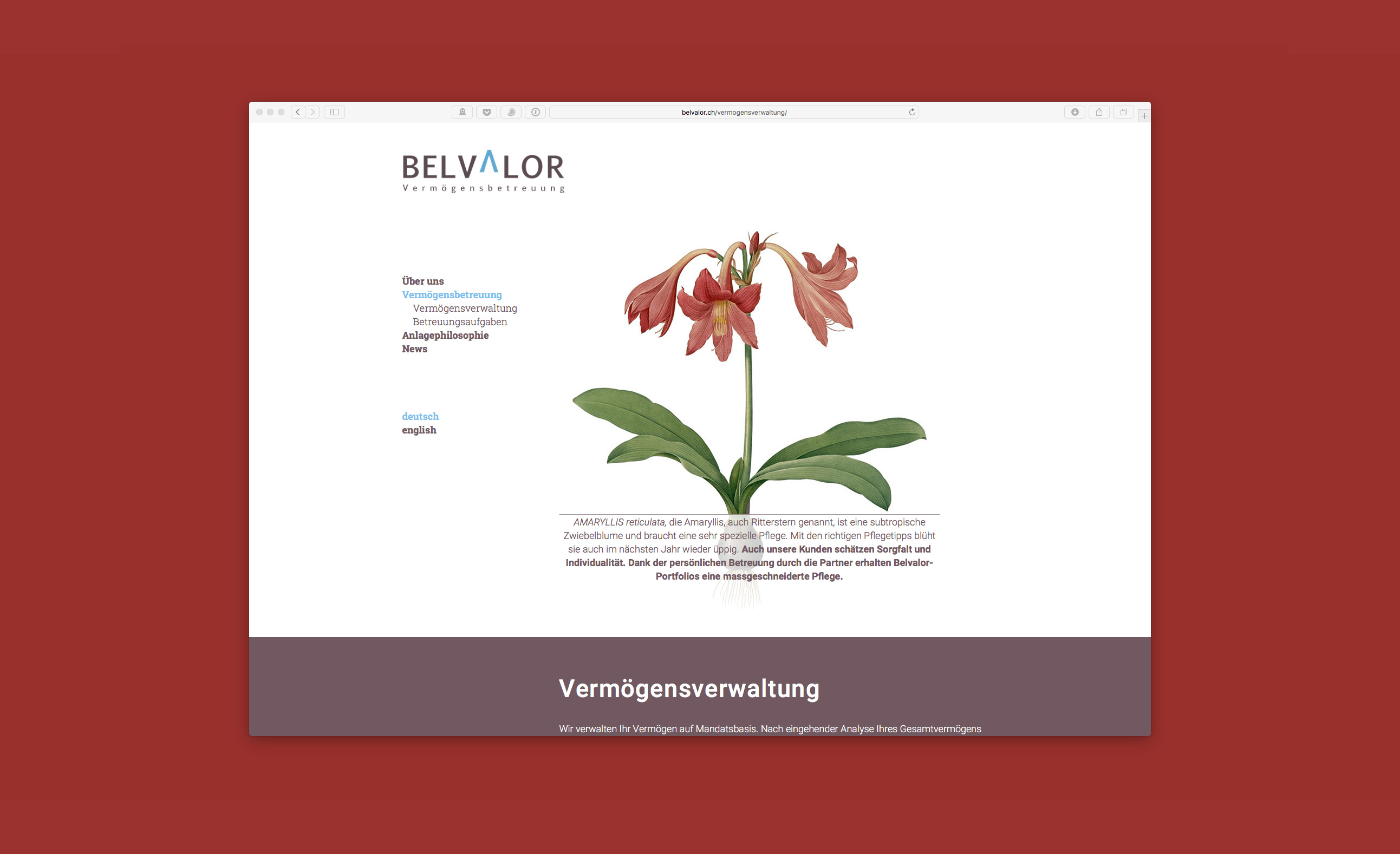 Belvalor Seite Vermögensverwaltung