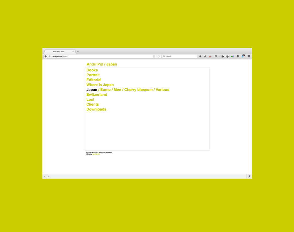 Website Gestaltung Andri Pol