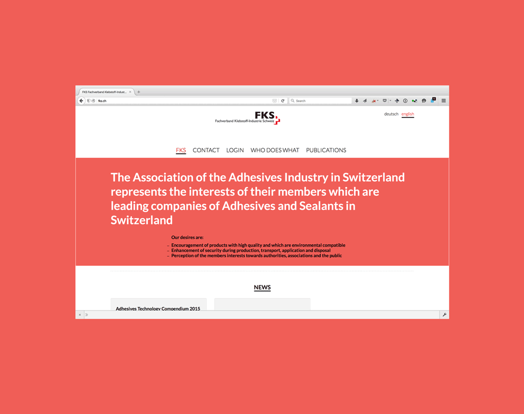 Website Gestaltung FKS