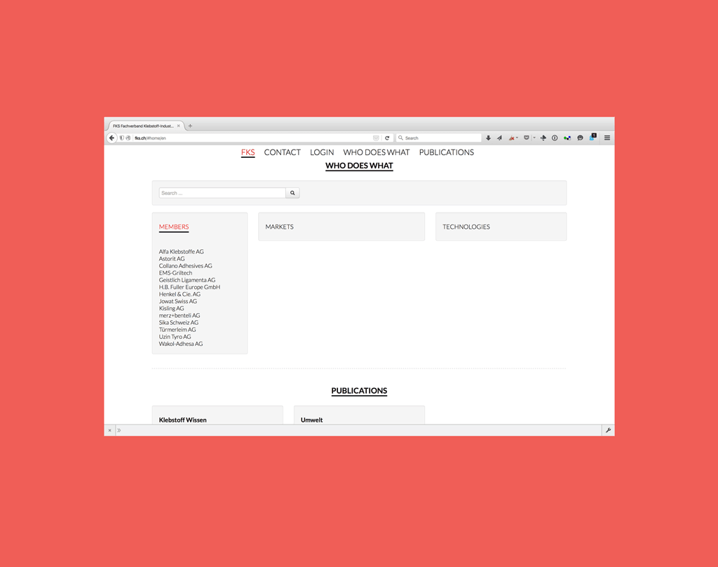 Website Gestaltung FKS